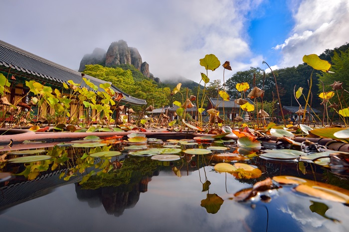 「第１７回国立公園写真公募展」の最優秀賞受賞作品。周王山国立公園にある大典寺の池に移った将軍峰を撮影した作品