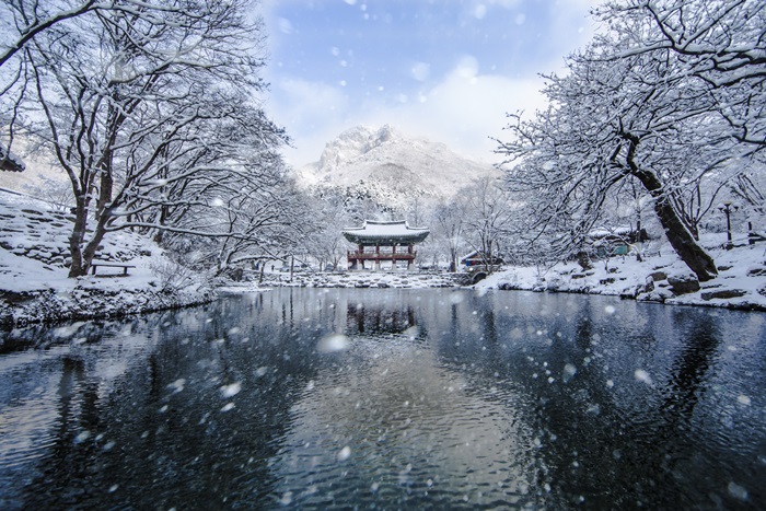 「第１７回国立公園写真公募展」の優秀賞受賞作品。雪が降る内蔵山の風景