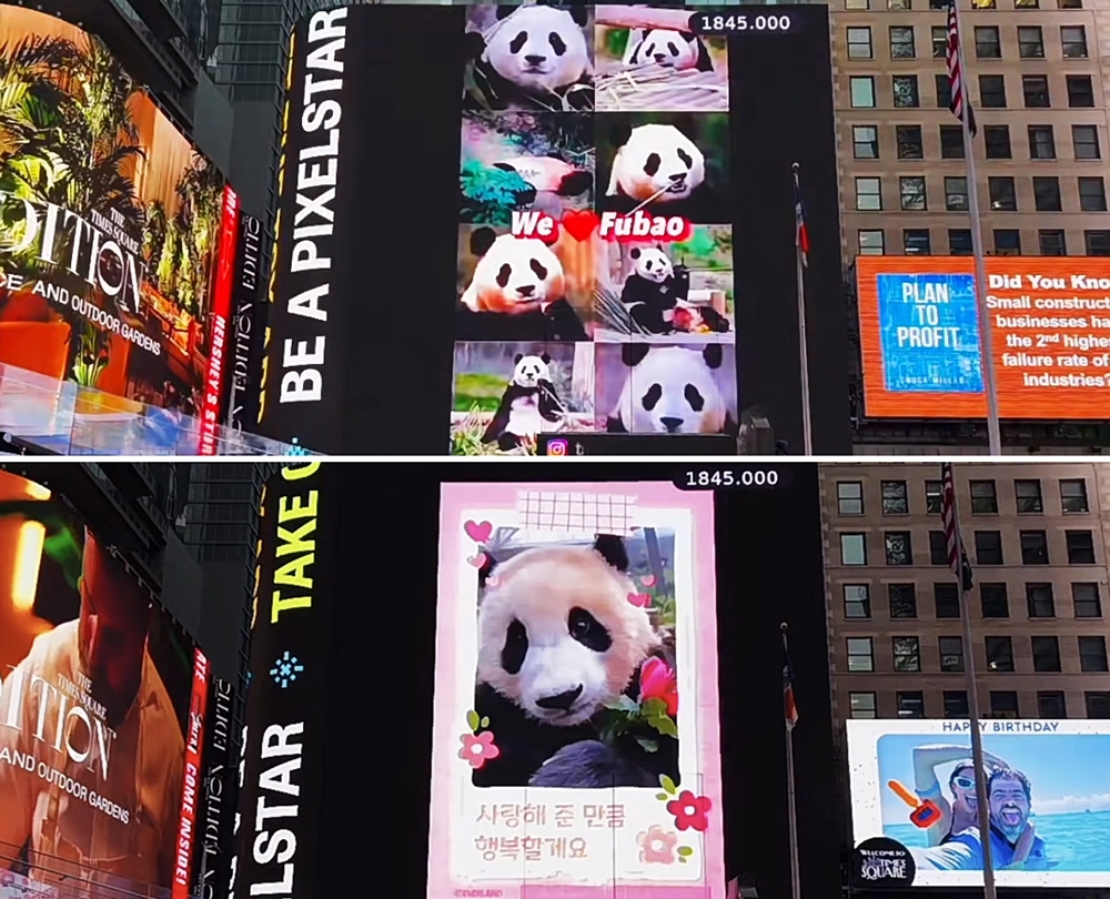 タイムズスクエアの大型スクリーンに映されたプーバオの映像。この広告は、プーバオの中国のファンが自費で掲載した。写真や映像などは日本のファンからの提供。＝９日（現地時間）、米・ニューヨーク、 ＴＳＸライブストリーム