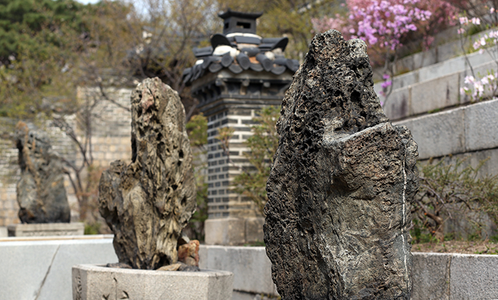 낙선재 뒷뜰 정원에 있는 세 개의 괴석에는 조선시대 도교사상에 대한 믿음이 담겨있다. (사진: 전한)