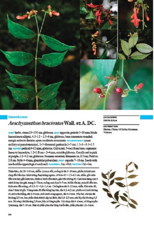 베트남 혼바 자연보존지구에 대한 최초 식물지인 ‘혼바 자연보존지구의 식물상 다양성’은 713개분류군에 대해 영어와 베트남어로 발간되었다.