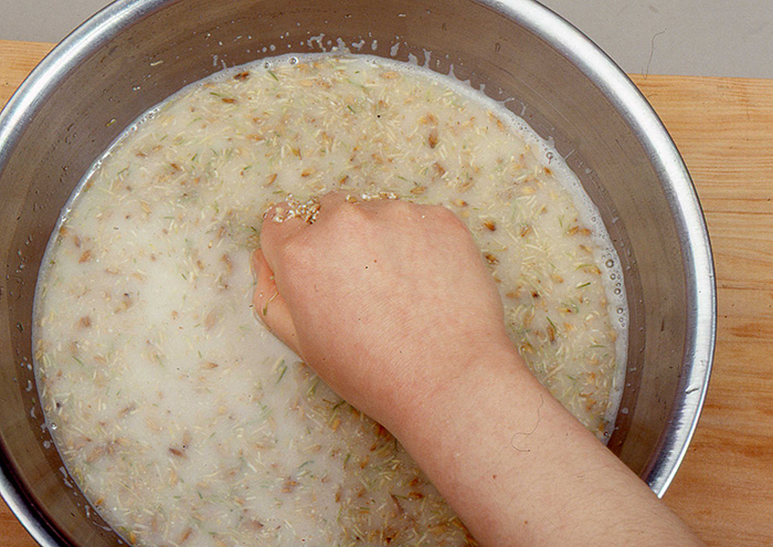 麦芽粉とぬるま湯を混ぜ30分ほどふやかす