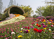 高陽国際花博覧会(International Horticulture Goyang Korea)