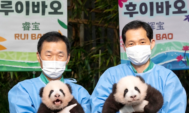 韓国初 双子の赤ちゃんパンダ「ルイバオ」と「フイバオ」
