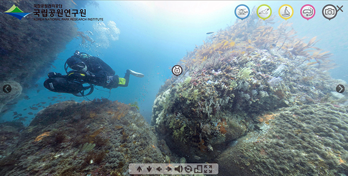 紅島の海洋生態系情報サービスからは144種の海洋生物が棲息する紅島海洋の生き生きとした自然が楽しめる