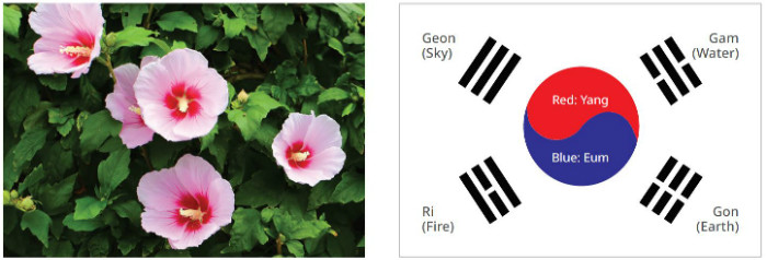 National flower (Mugunghwa) and National flg (Taegeukgi)