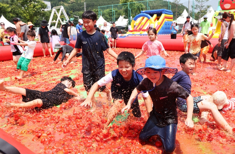 １６日、京畿道・広州市で開催中の「退村トマト祭り」。子どもたちがトマトのプールで楽しく遊んでいる。 