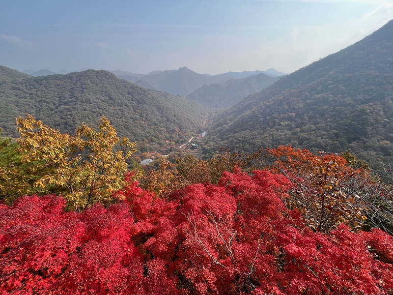 内蔵山展望台であるヨンジャデ亭子から眺めた内蔵山の全景＝２６日、井邑
