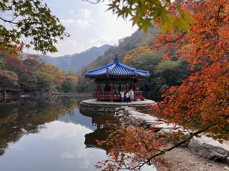 内蔵山の探訪案内所から遠くないところに位置する羽化亭は、内蔵山国立公園を代表する紅葉撮影のスポットだ＝２６日、井邑 