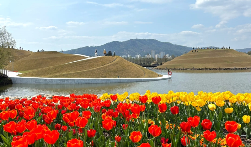 チューリップが満開している４月の順天湾国家庭園＝順天湾国家庭園フェイスブック