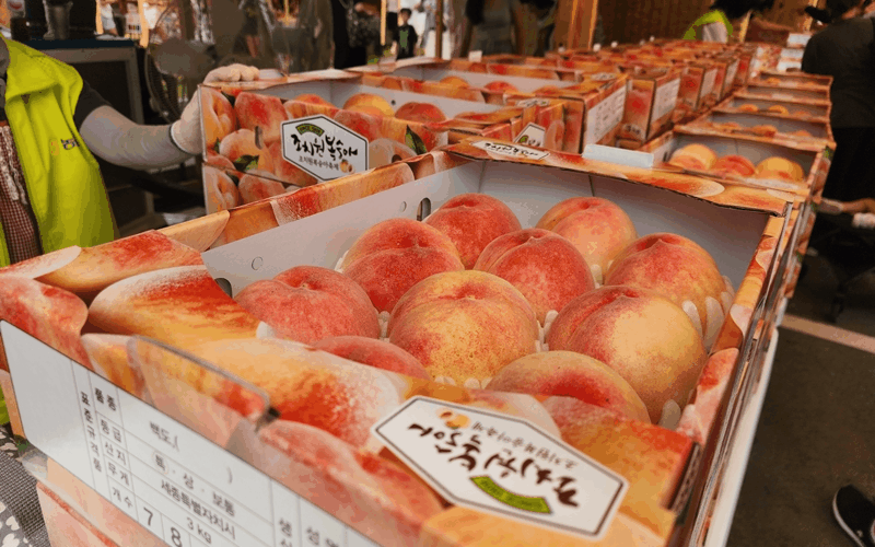 ２００３年に初めて開催され、今年で２２回目を迎えた鳥致院桃祭り。今年は、２６日から２８日まで世宗（セジョン）市民運動場およびドドリパークなどの一帯で開かれた。鳥致院では、１９０８年から１１６年間にわたり蓄積された技術により栽培されている。