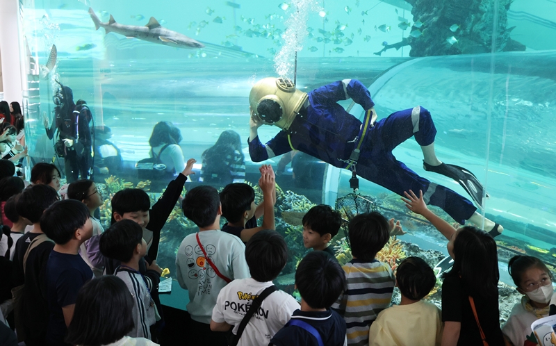 ５日、釜山市内の国立海洋博物館３階にある水族館で、「人類の海探検」をテーマにした水中パフォーマンスを披露するダイバー。