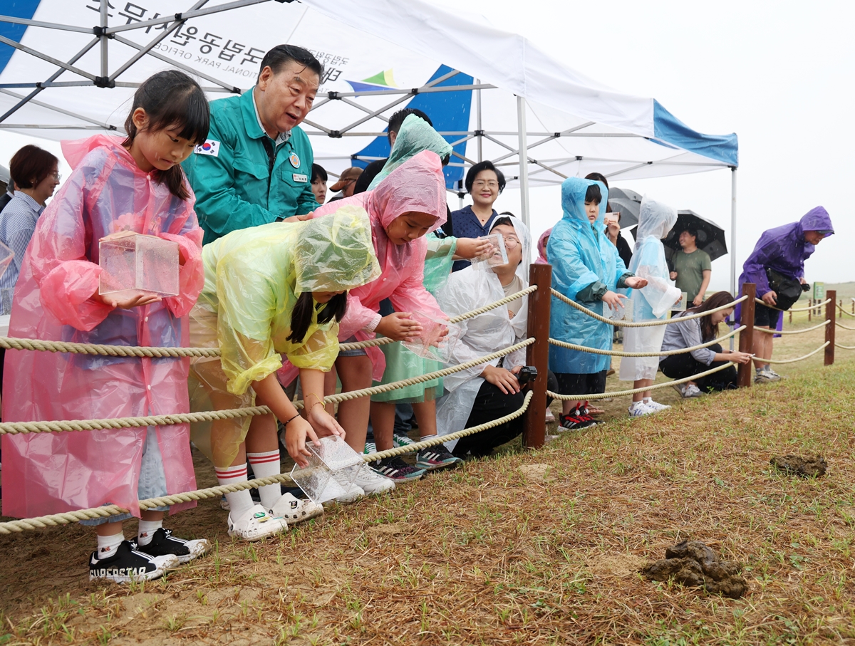 昨年９月、タマオシコガネを自然に返す子供たち＝国立生態院