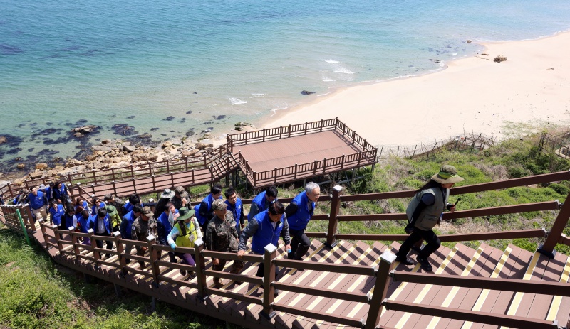 ユ・インチョン元文化体育観光部長官が５月８日、江原道・高城郡で行われたプログラム「ＤＭＺ平和の道」に参加し、海岸鉄柵付近のウッドデッキを歩いている。このエリアは民間人の立ち入りが制限されているため人為的な破壊が少なく、自然生態系がよく保存されており、生態的価値が高いと評価されている＝文化体育観光部