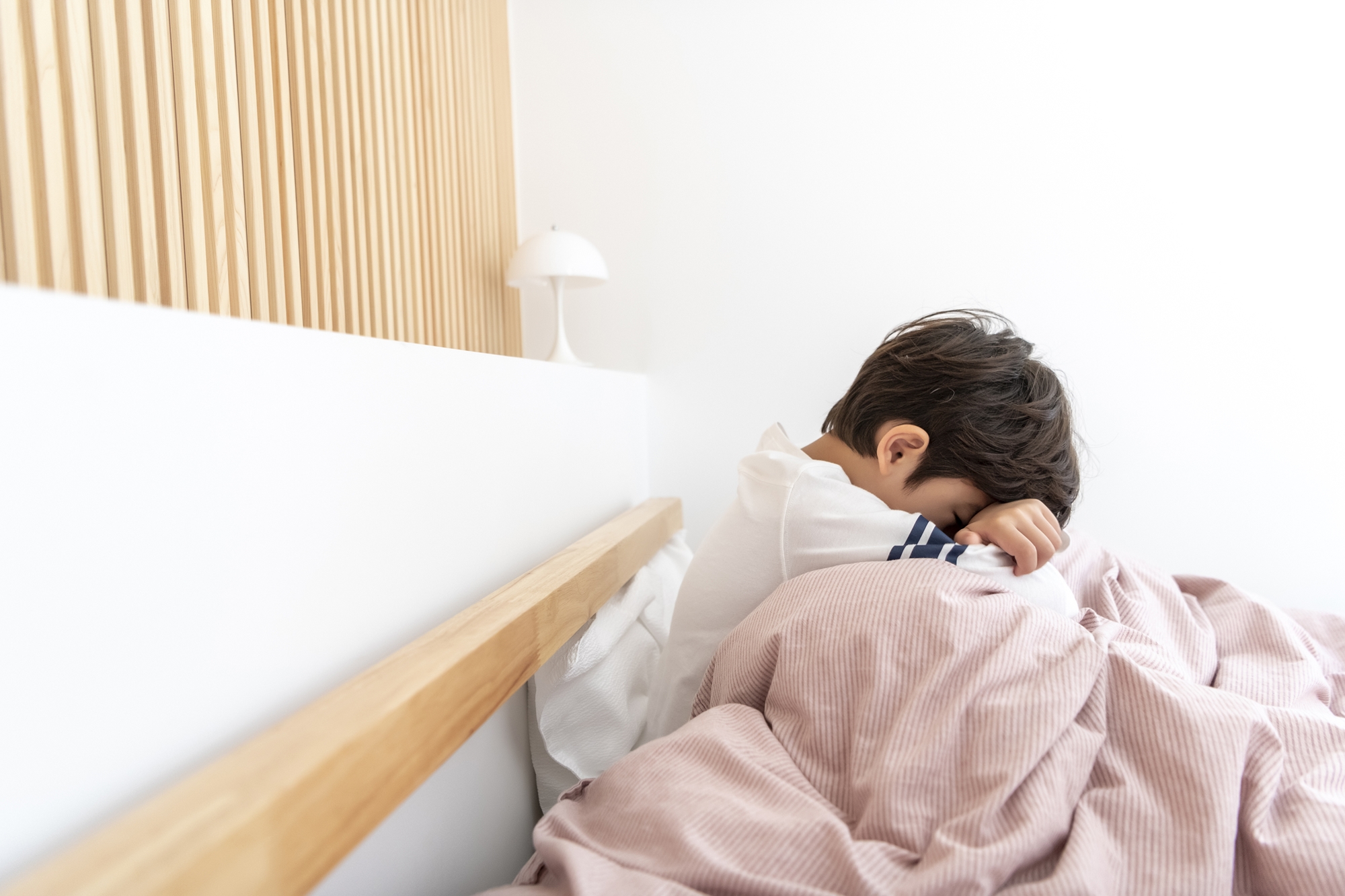 基礎科学研究院が、自閉症患者の恐怖記憶や不安反応の改善につながる手がかりを発見＝アイクリックアート(上記の写真は著作権法に基づき無断転載及び再配布を禁じます)