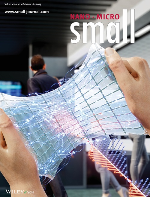 国際学術誌「Ｓｍａｌｌ」２０２５年１０月号の表紙論文＝ＫＡＩＳＴ