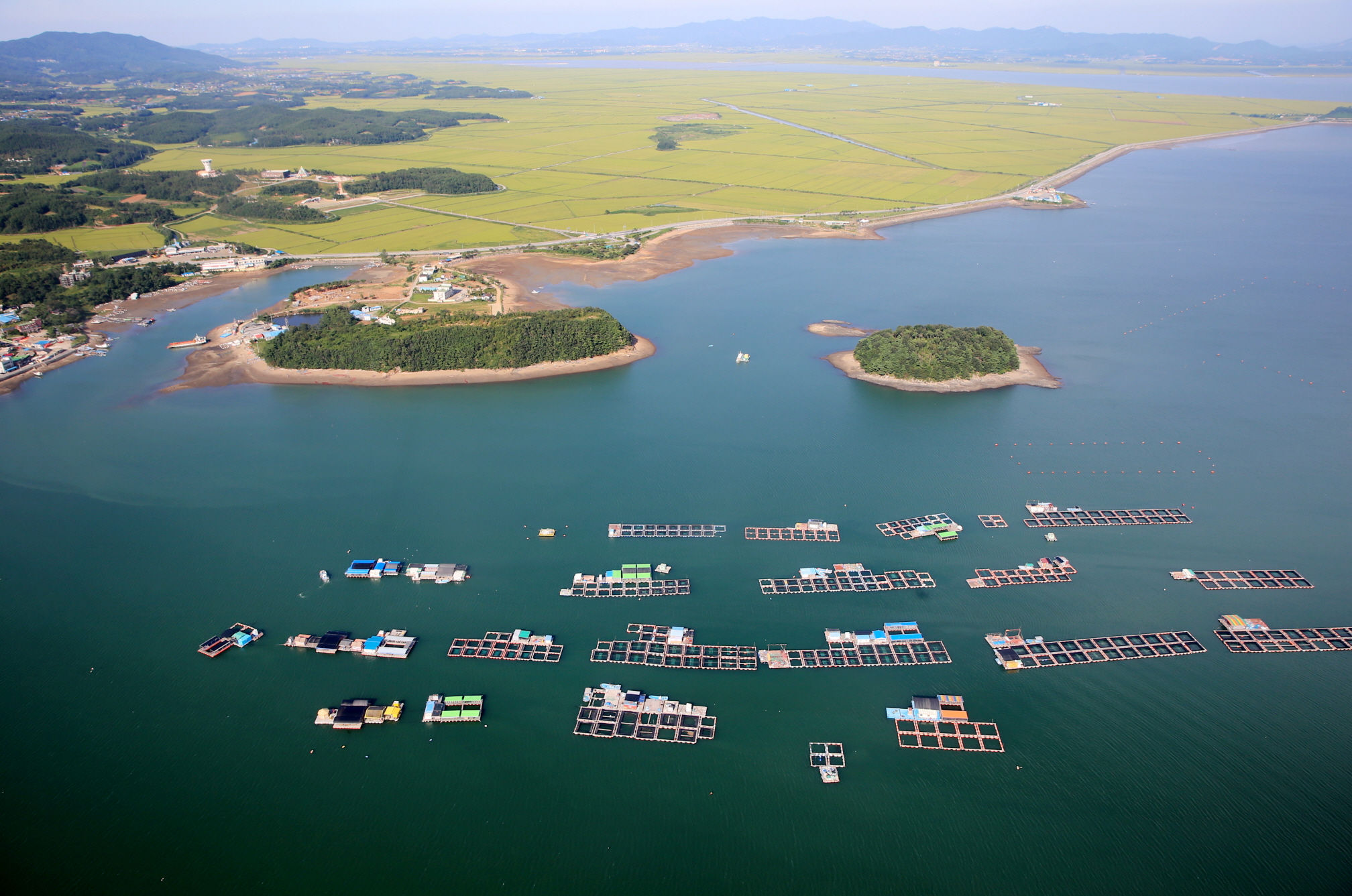 写真は、淺水灣の養殖場＝忠清南道・泰安郡、泰安郡