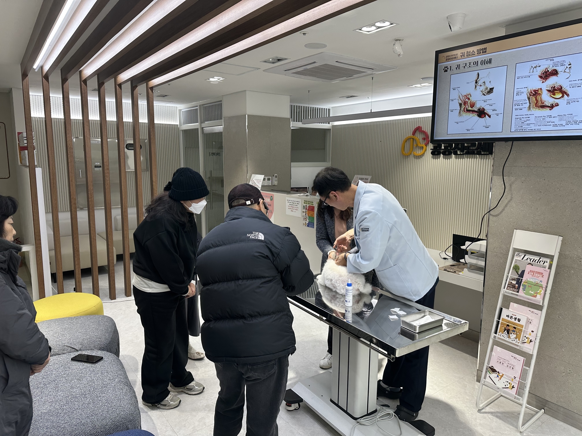 写真は、診療を受ける犬の様子＝金浦市ペット公共診療センター