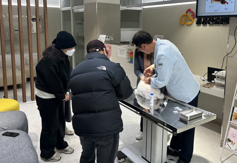 ペット公共診療センターで、犬を診療する医療スタッフ=京畿道・金浦市、キムポ市ペット公共診療センター