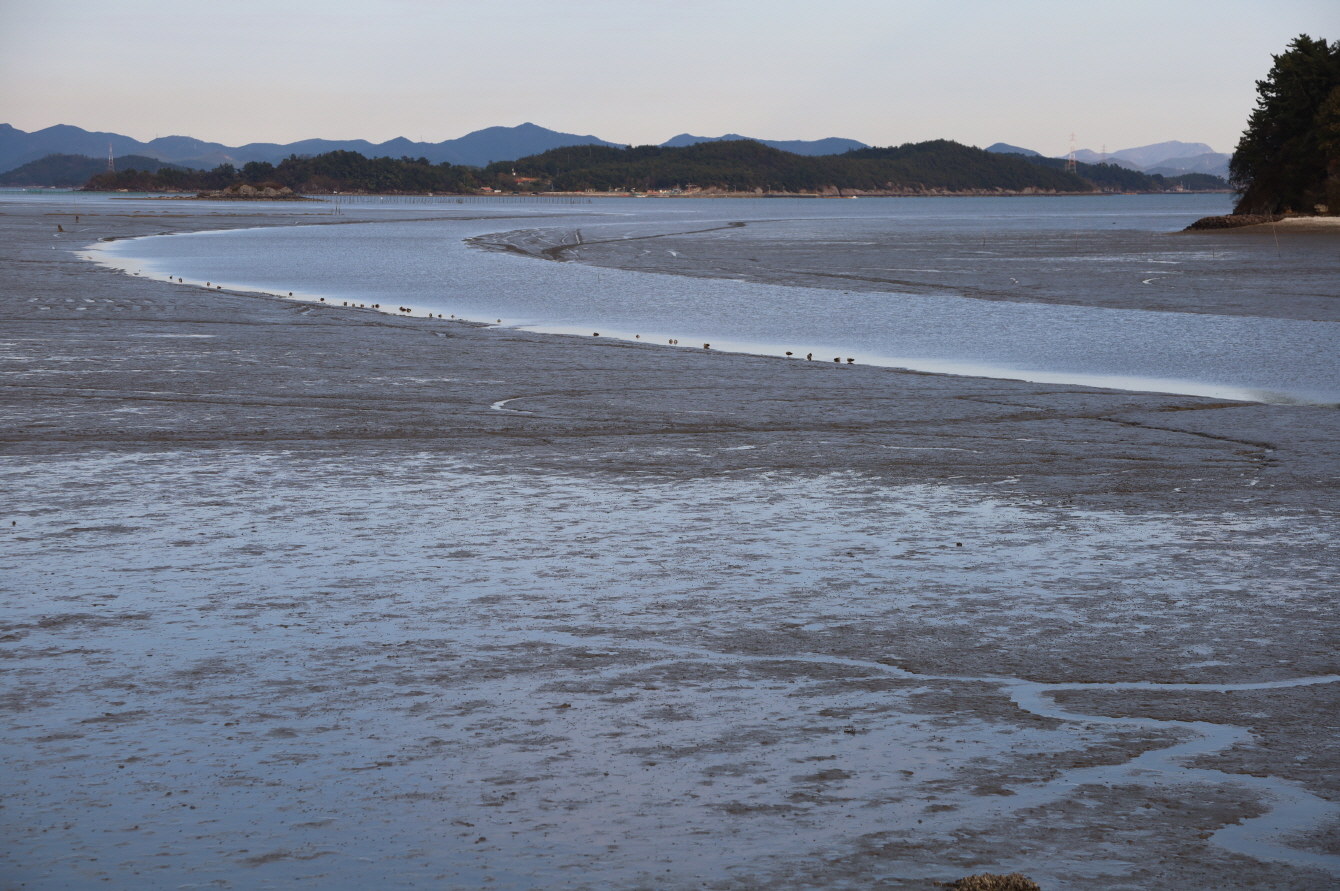 国家遺産庁と海洋水産部は５日、国際自然保護連合（ＩＵＣＮ）が「韓国の干潟（第２段階）」の世界遺産への拡大登録をユネスコ世界遺産委員会に勧告したと発表した。写真は、全羅南道・高興の干潟＝高興郡