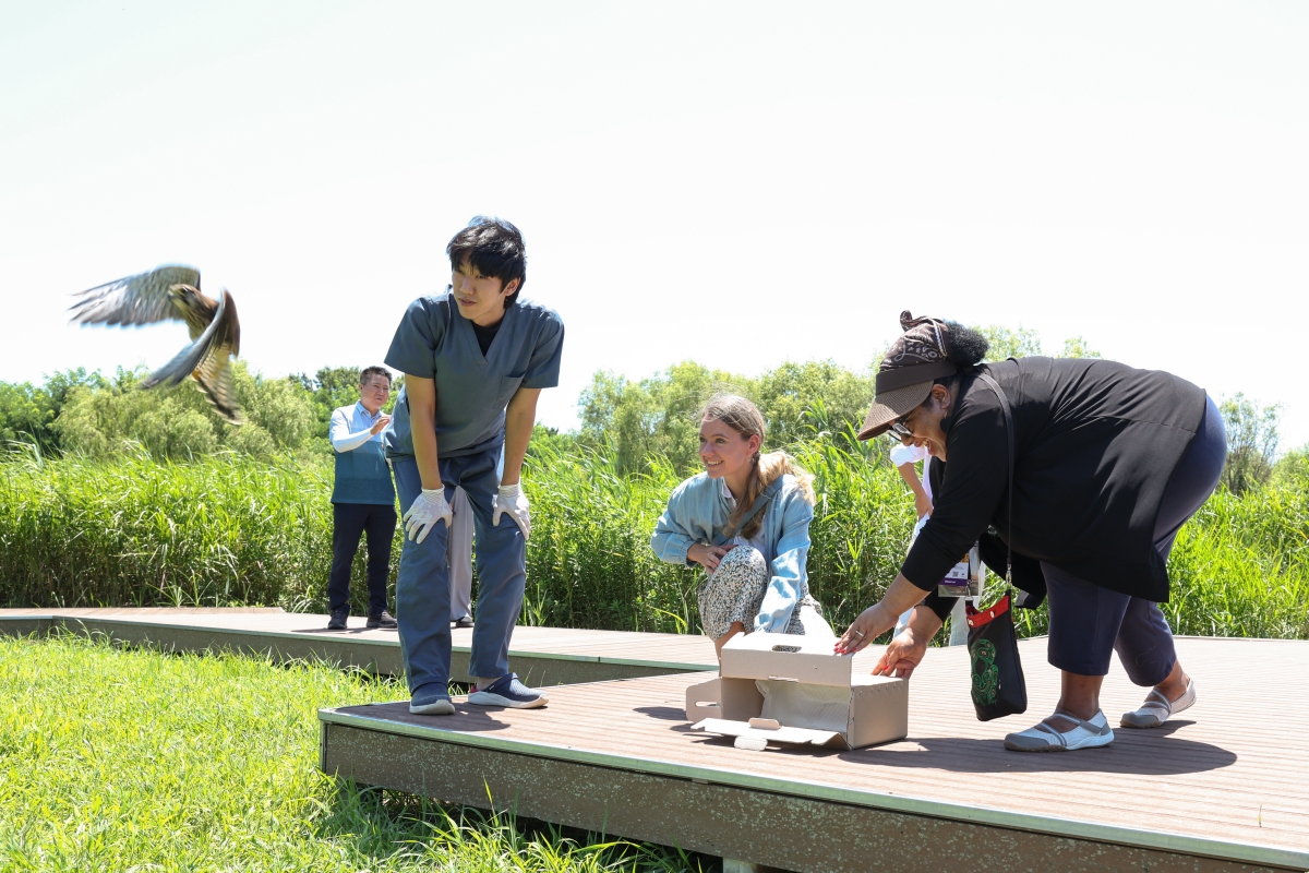 「２４日、釜山・沙下区の洛東江河口エコセンターで開かれた「洛東江下流 渡り鳥飛来地エコツアー」の参加者が、保護されていた鳥を自然へと帰している様子。野生動物治療センターでは、治療とリハビリテーションを終えて回復した動物を野生に戻す一方、障害などにより野生復帰が難しい動物については、水鳥の代替生息地で最期まで保護している。