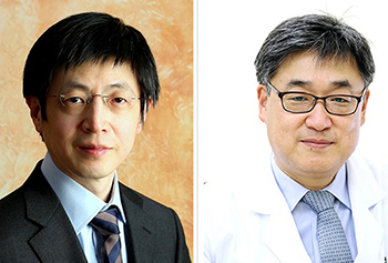 新型のゲノム編集技術の研究をリードした基礎科学研究院のキム・ジンス遺伝体矯正研究団長(左)と蔚山医大のイ・サンウク教授