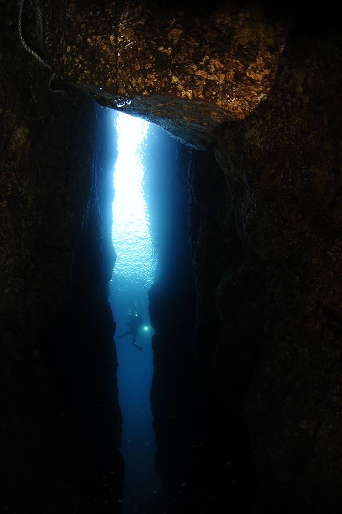 「2016鬱陵島・独島国際招待水中写真展」の広角(ダイバー)部門の金賞受賞者、チョン・ヘシムさんの作品