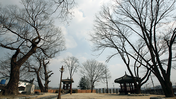임실군 오수면(獒樹面) 오수리의 의견공원은 주인을 살리기 위해 자신을 희생한 개의 이야기가 전해지는 곳이다. 