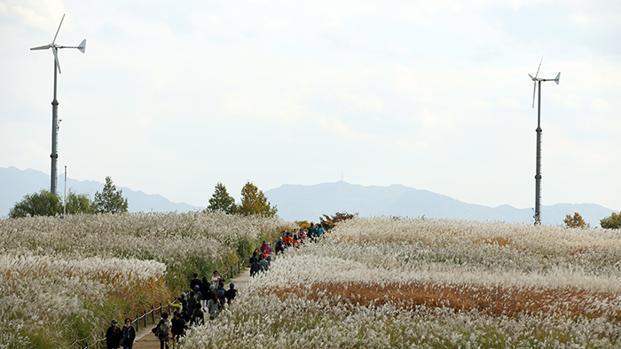 22일 상암동 하늘 공원을 찾은 시민들이 억새풀 사잇길을 걸으며 가을을 즐기고 있다. 