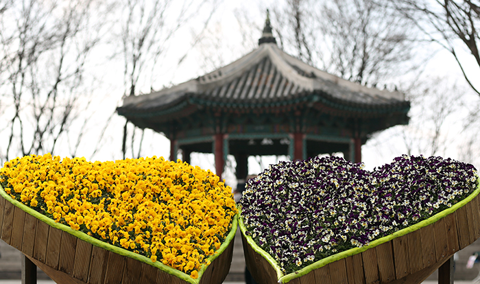 꽃이 만개한 N서울 타워의 팔각정 앞 화단이 관광객들을 반긴다. (사진: 전한)