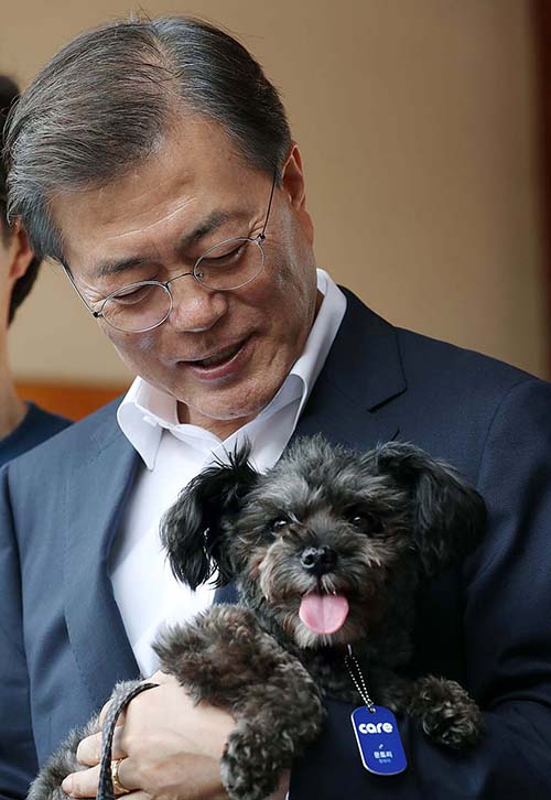 Tory_First_Dog_03.jpg