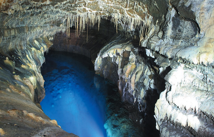 希少 絶版 Borneo: Memory of the Caves 洞窟壁画 希少 絶版 Borneo: Memory of the Caves 洞窟壁画