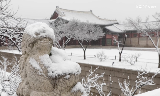 雪降るソウル都心