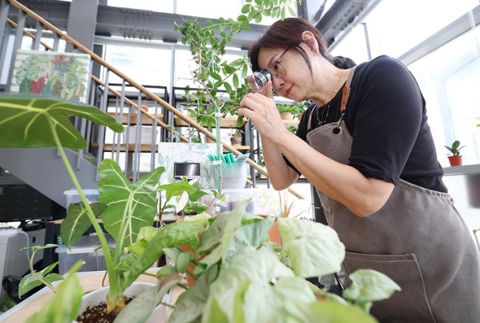 植物クリニック