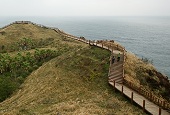 歩けば見えてくる済州島のあれこれ