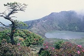 四季折々の漢拏山の風景を一目で