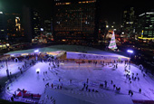 スケートとソリでソウルの冬を満喫しよう