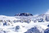 漢拏山の雪景色と冬のスポーツを同時に楽しもう