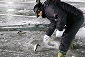 氷上釣りの祭典、今年も盛況