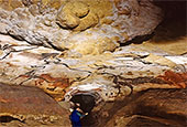 旧石器時代「ラスコー洞窟の壁画」を韓国で