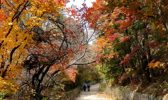 歩きたい国立公園の紅葉スポット10選