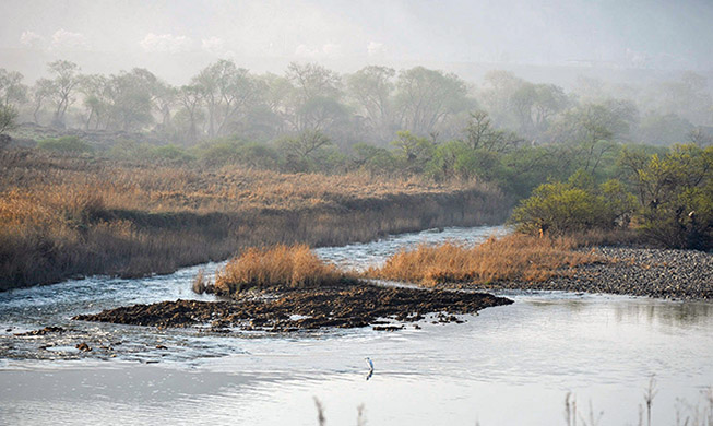 蟾津江の寝室湿地が２２番目の湿地保護地域に指定