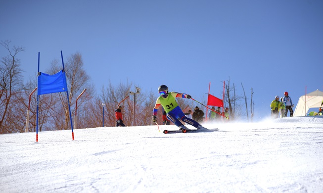 平昌冬季オリンピックに向け、南北スキー合同練習