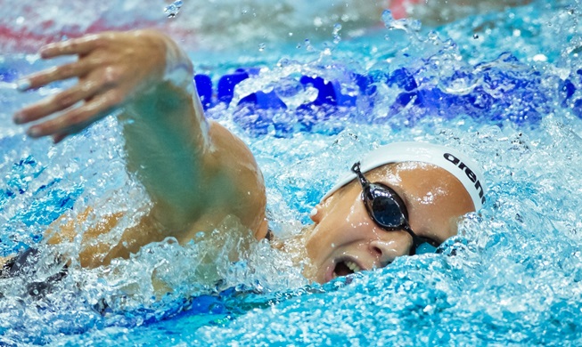 光州世界水泳選手権大会まであと５０日