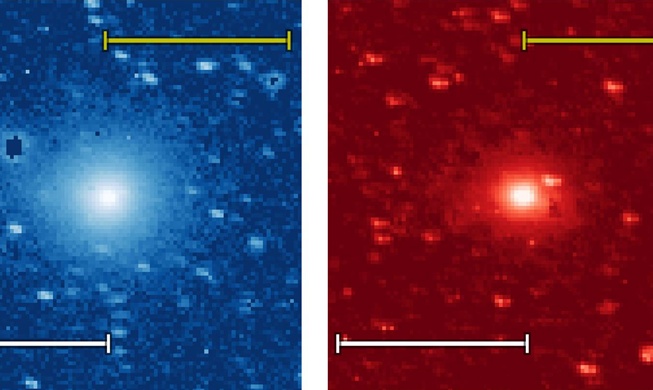 韓米共同の宇宙望遠鏡、恒星間彗星で水や有機分子を検出