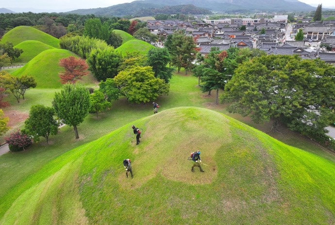 秋夕を控え、王陵で草刈り