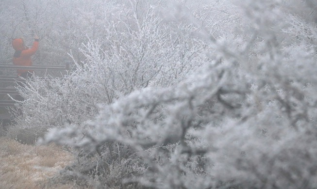 済州島・漢拏山で初雪