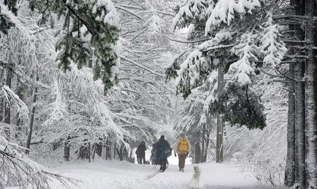大関嶺の雪景色の中を歩く観光客