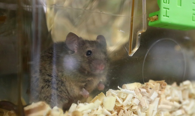 動物実験の倫理責任ガイドラインを発刊