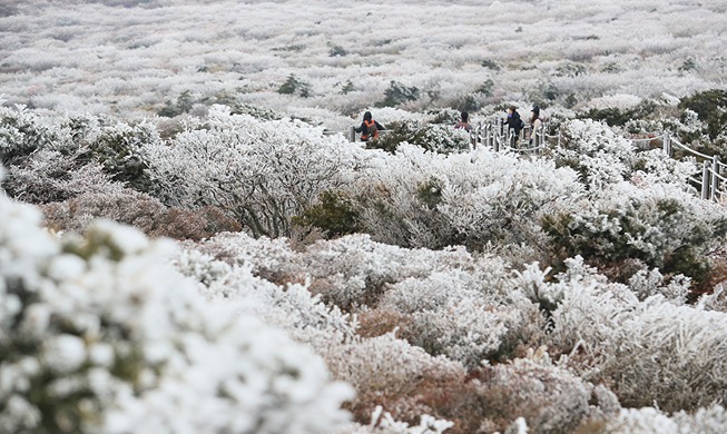 【写真で見る韓国】漢拏山の初冠雪を観測